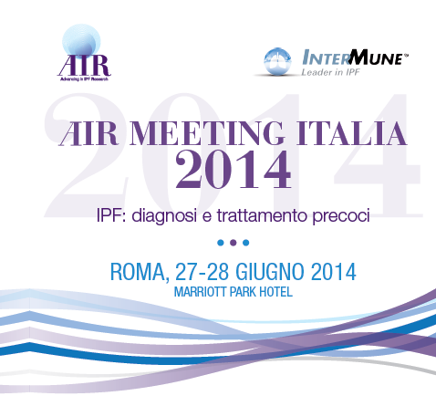 Air Meeting 2014
